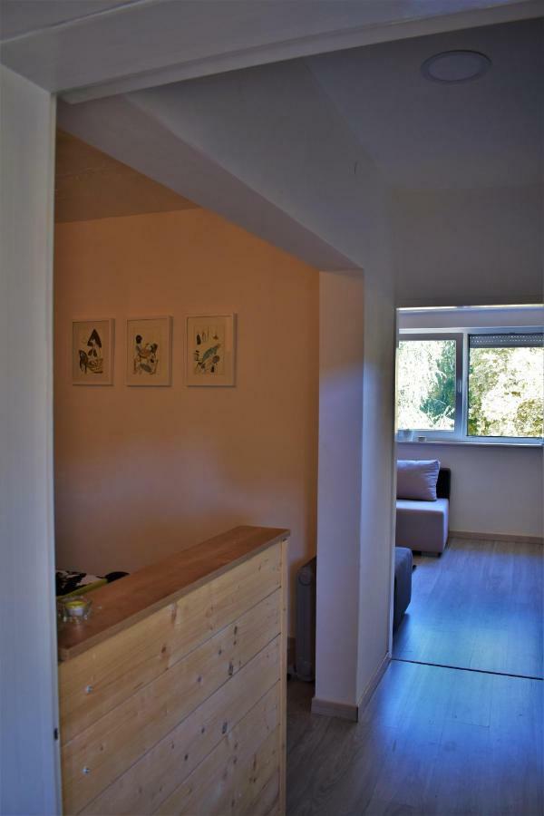 זאגרב Vila Velebita, Sweet Cozy Appartement :) מראה חיצוני תמונה